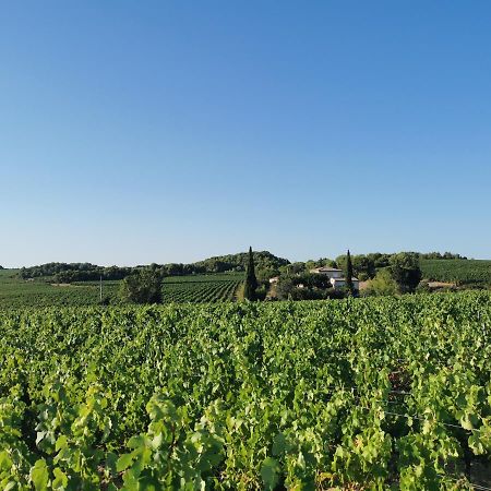 La Chambre Du Saunei Castelnau-de-Guers Exteriér fotografie
