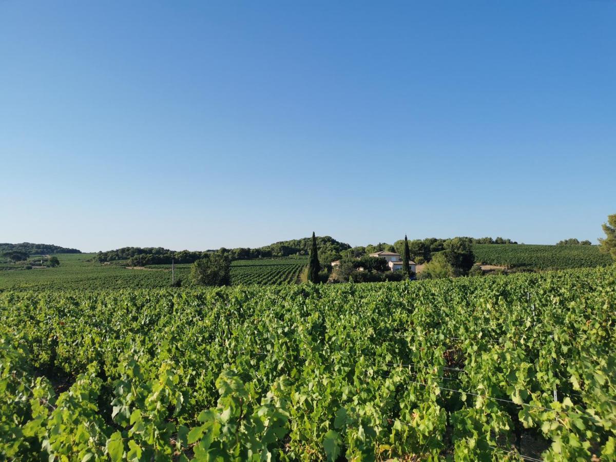 La Chambre Du Saunei Castelnau-de-Guers Exteriér fotografie